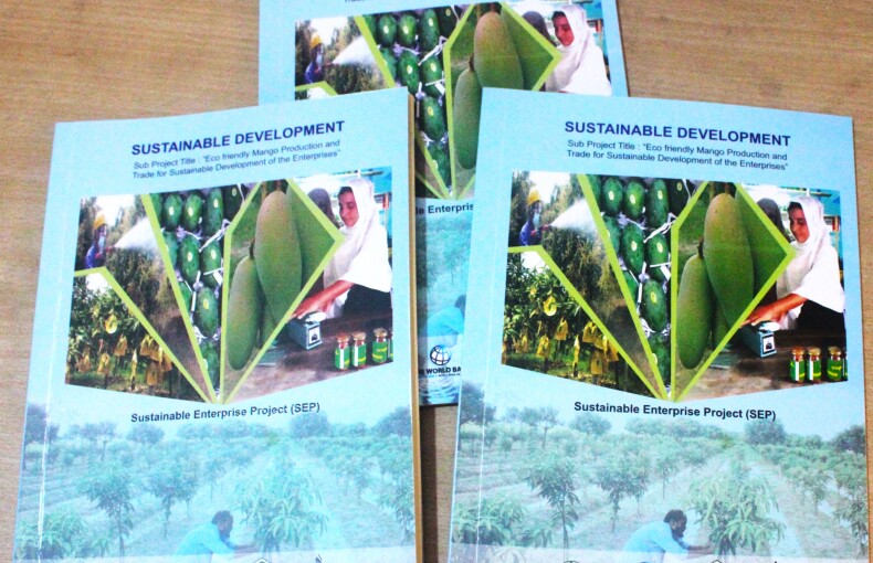 SEP Project Booklet "Sustainable Development"