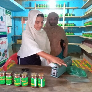 Emergence of eco-friendly mango-based products with the help of the SEP project